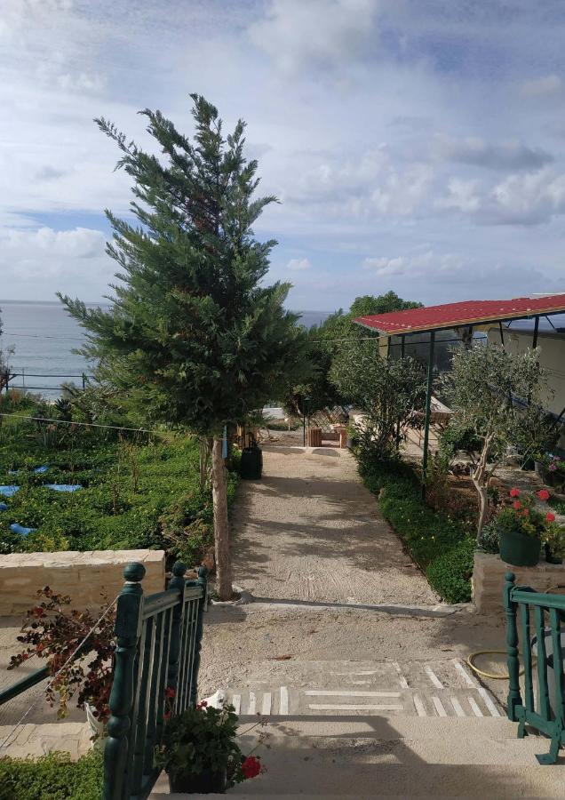 Korali House Tatil Evi *