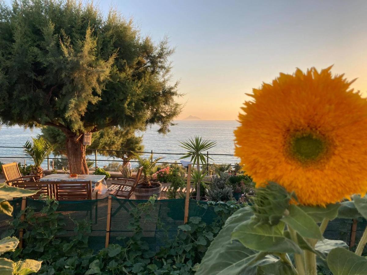 Korali House Tatil Evi *