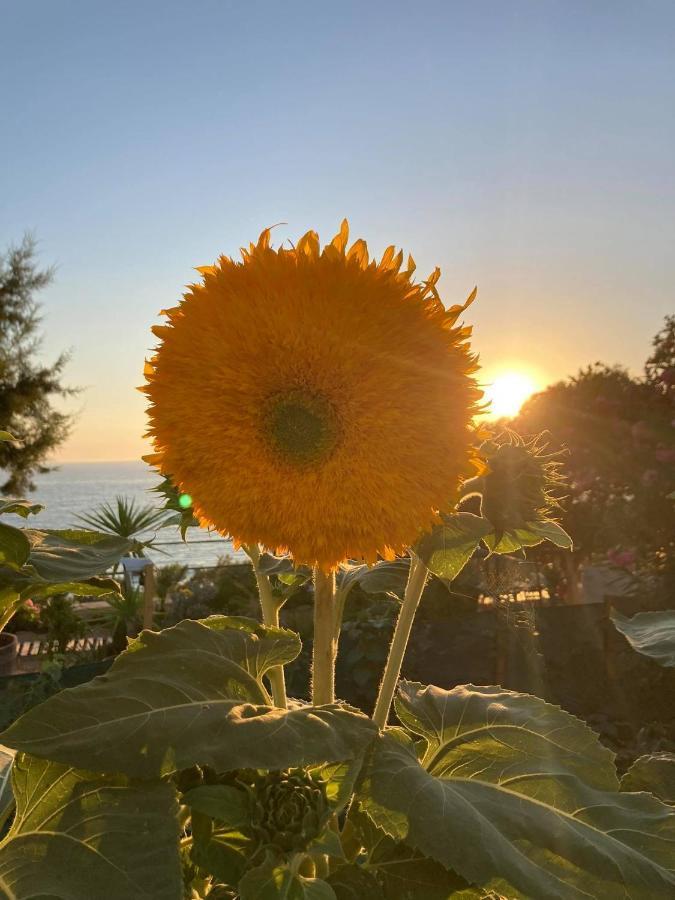 Tatil Evi Korali House