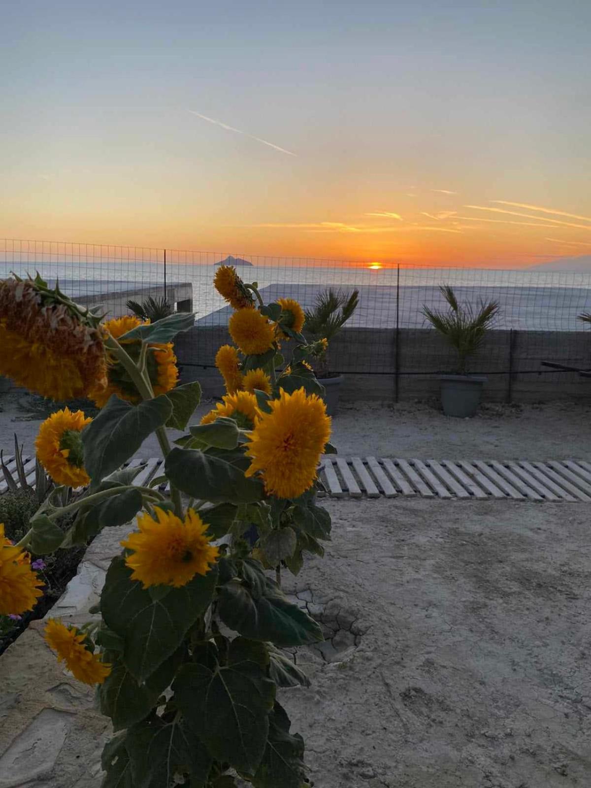 Tatil Evi Korali House